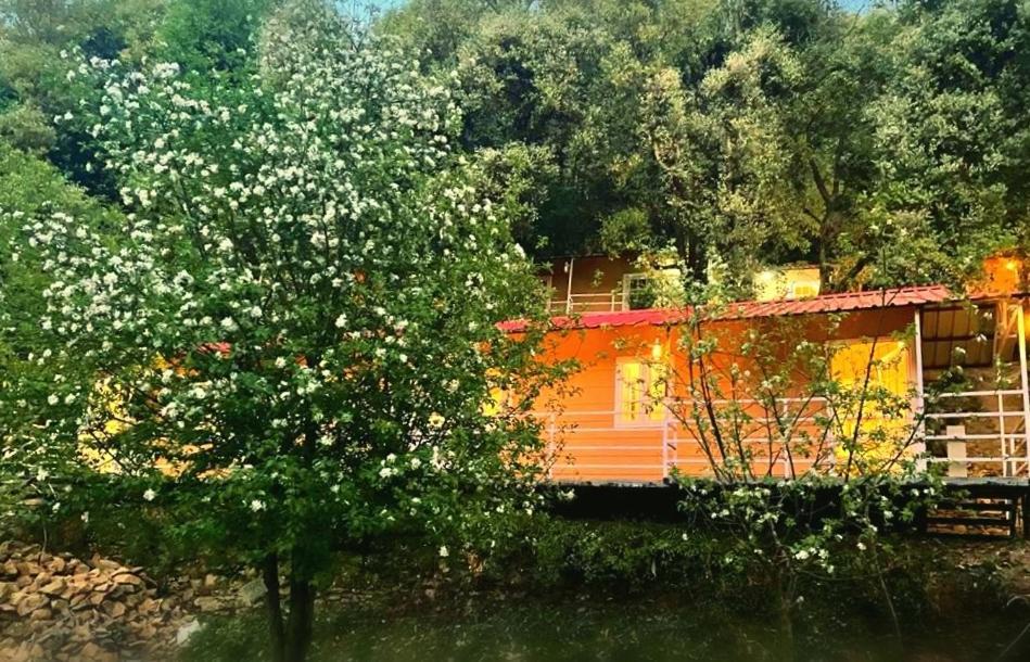 Aamod At Shoghi Luxury Cottage Resort Shimla Esterno foto