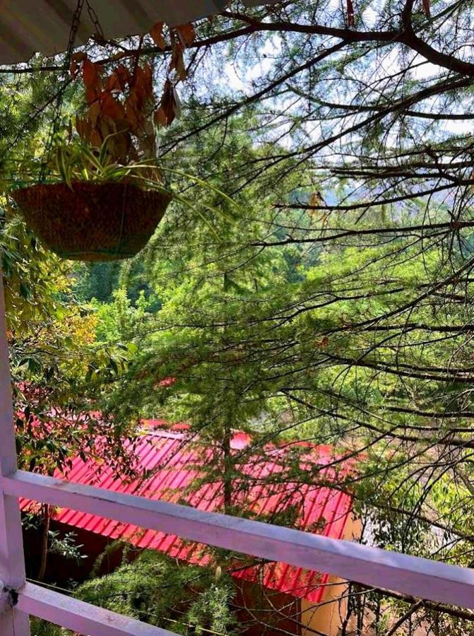Aamod At Shoghi Luxury Cottage Resort Shimla Esterno foto
