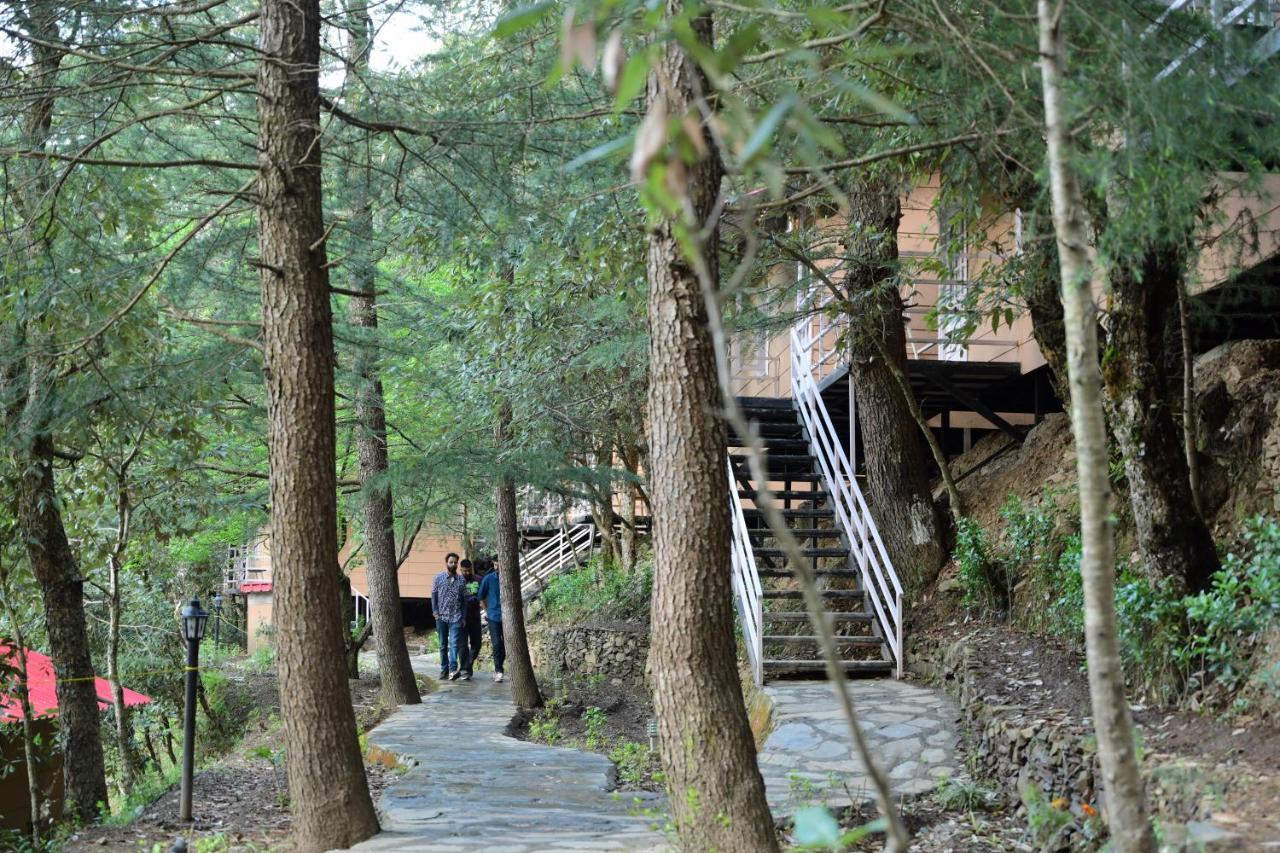 Aamod At Shoghi Luxury Cottage Resort Shimla Esterno foto